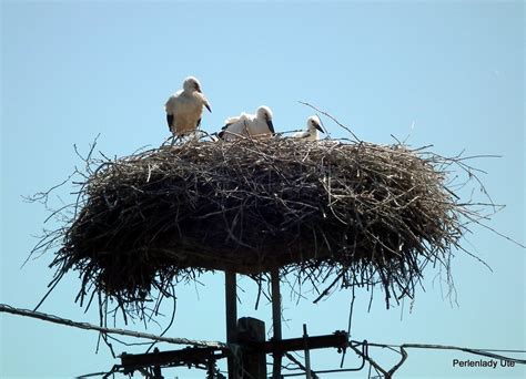 Magyarország) är ett land i östeuropa. Schmuck(es) aus dem Pott: Ungarn - ein schönes Land