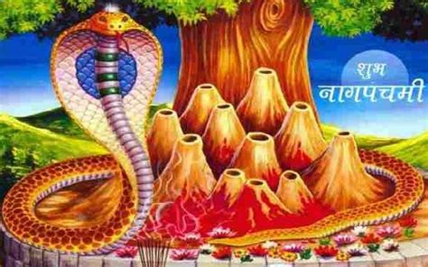 There are twelve snakes in particular which are worshipped on nag panchami, namely ananta, vasuki, shesha, padma, kambala, karkotaka, ashvatara, dhritarashtra, shankhapala, kaliya, takshaka, and pingala. नाग पंचमी शायरी 2020 - Nag Panchami Shayari in Hindi ...