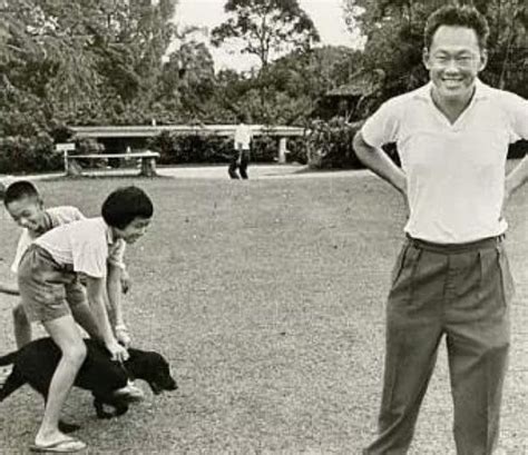 Pendant plant #pendant #plant #tree. Let's acknowledge Lee Kuan Yew's full legacy - the warts ...