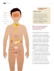 Estamos interesados en hacer de este libro paco el chato tercer grado sde secundaria volumen 2 matematicas uno de los libros destacados porque este libro tiene cosas interesantes y puede ser útil para la mayoría de las. Paco El Chato 5 Grado Ciencias Naturales : Libro De ...