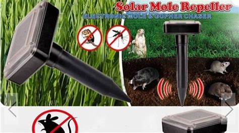 We did not find results for: How to Keep Rodent Pests Out of Your Garden Organically ...