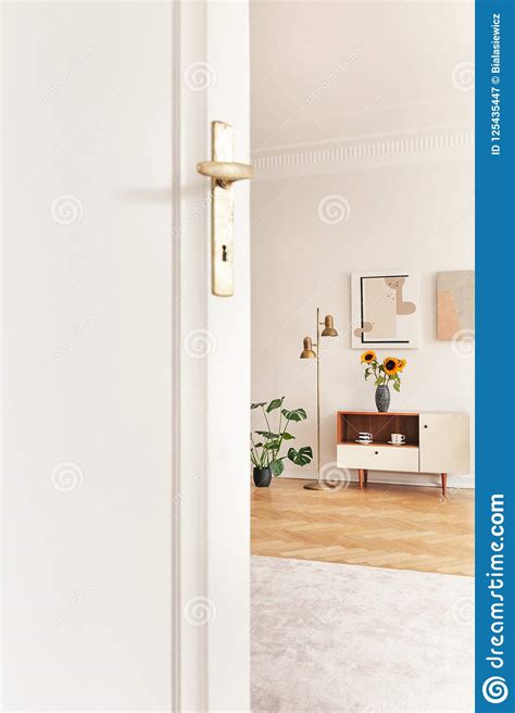 The mirror comes with safety film on the back, which reduces the risk of injury if the glass is broken. White Door In Bright Living Room Interior With Sunflowers ...