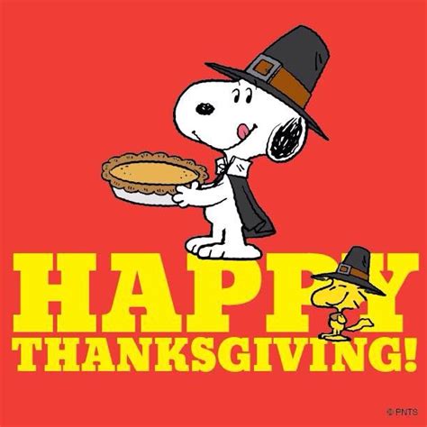 Pin by Summer on Thanksgiving | Thanksgiving snoopy, Snoopy pictures, Happy thanksgiving images