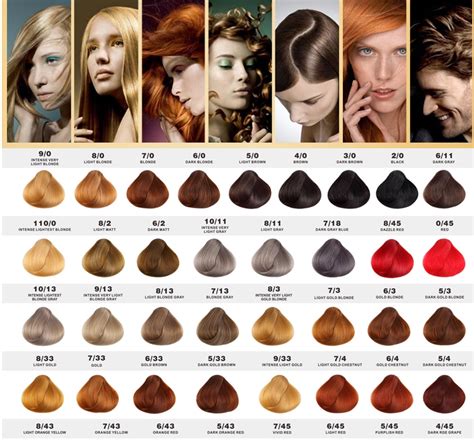 Places westminster, colorado beauty, cosmetic & personal carebeauty salonhair salon do or dye hair salon. Hot Selling Salon Hair Dye Hair Color Chart With Your Own ...