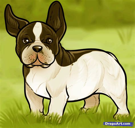 We did not find results for: How to Draw a French Bulldog, French Bulldog, Step by Step, Pets, Animals, FREE Online Drawing ...