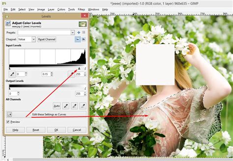 The gimp provides the rectangle, ellipse and lasso selection tools to help you cut out specific parts of a photo or illustration to keep, eliminate or edit. See-through Effects and Remove Clothes using GIMP Tutorial