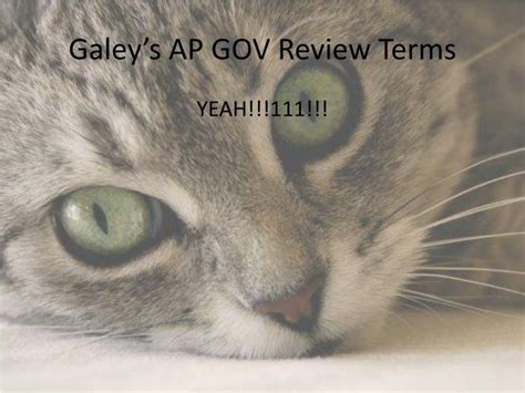 Ata akta public page, ja sobar jonno unmukto, akhan a. PPT - Galey's AP GOV Review Terms PowerPoint Presentation ...