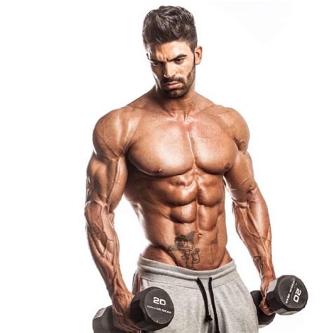 Usually derived from latin, a muscle's name often tells many muscle names indicate the muscle's location. Sergi Constance F.L | Muscular men, Gym body, Muscular