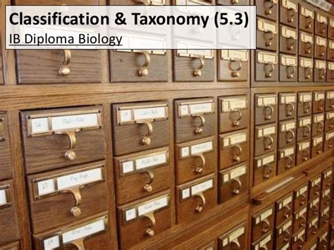 Ib (intelligence bureau) security assistant biology questions & answers and important biology past paper questions by topic. IB Biology 5.3 Slides: Classification & Taxonomy