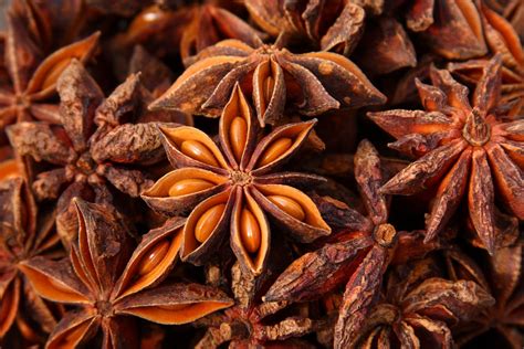 Some caution should be exercised when buying star anise. Lion Heart: Herb of the Month: Star Anise