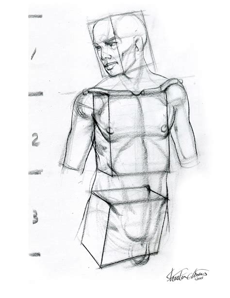 Use a this post contains affiliate links, meaning, i recommend products and services i've used or know well and may receive a commission if you. Chester Chien: Form Study_Drawing boxes of Torso