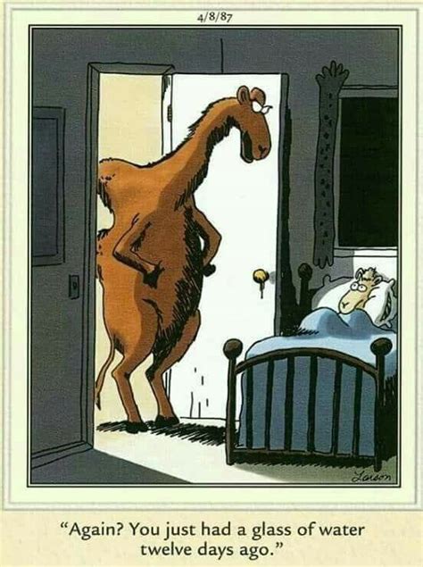 Most thought he would never do it. Camel parenting humor (With images) | Far side comics, Far ...