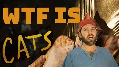 Jon richardson, who appeared opposite lock as a fellow team captain on 8 out of 10 cats, tweeted: Cats - Movie Review - YouTube