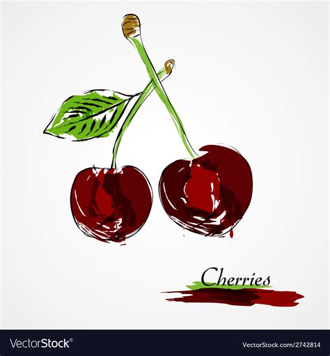 The best selection of royalty free cherry vector art, graphics and stock illustrations. Cherries Royalty Free Vector Image - VectorStock