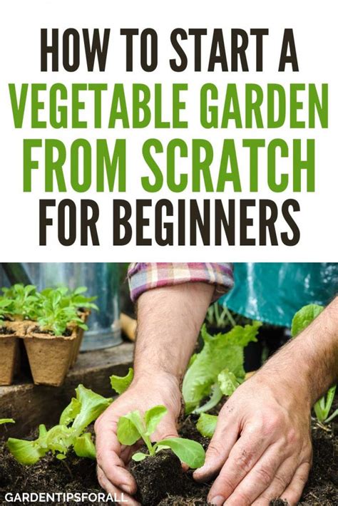 How to start a small garden for beginners. How to Start a Vegetable Garden from Scratch for Beginners