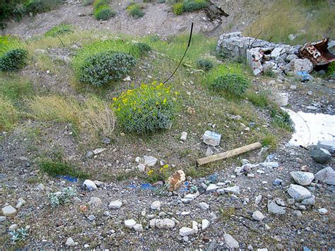 Corona is on the edge of the mojave and colorado deserts in riverside county, so conditions are very good for growing drought tolerant plants. Ron's Log: Nude Bowl