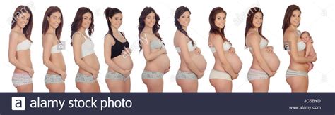 Ein babybauch ist dann noch nicht zu erkennen. Sequenz Bilder einer Frau während aller Monate der ...
