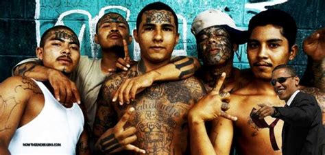 Reverse gang bang 2 sneila. Obama Knowingly Allowed MS-13 Gang Members Into The United ...