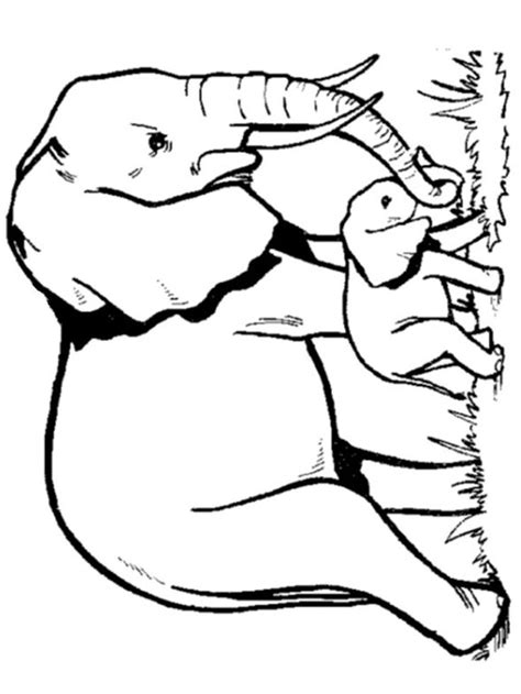 Download Elephant Coloring Pages For Adults. Elephants are the largest mammals on earth. The most obvi ...