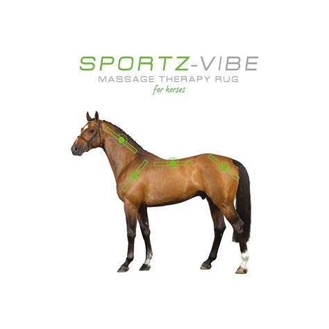 Für jede jahreszeit und jedes pferdebedürfnis gibt es die passende decke. Horseware Sportz-Vibe® ZX Horse Rug - weitere Horseware ...