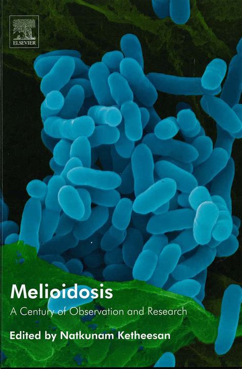 It is a common cause of serious. Melioidosis in animals - ResearchOnline@JCU
