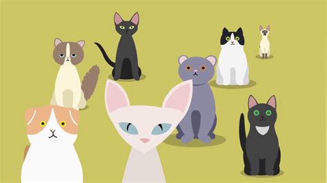 Sign up for free today! BPI: A Quick Look at Herding Cats - YouTube