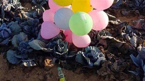 Palestinian terrorists in gaza preparing incendiary & explosive. Incendiary balloons increasingly appear in central Israel