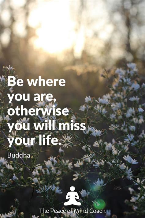 4 inner peace quotes to live by. Pin by Steven Webb - The Inner Peace on Enjoy Inner Peace, wisdom, love, and heartfelt quotes ...