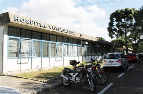 Ufpr divulga primeira chamada complementar para o sisu; Universidade Federal do Paraná