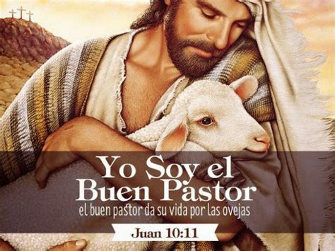 Gratis para usos comerciales ✓ no es necesario reconocimiento ✓. Domingo del Buen Pastor