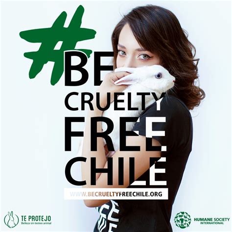 They may test on animals, either themselves, through their suppliers, or through a third party. A firmar: Be Cruelty Free Chile 2018 relanza campaña para ...