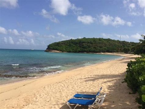 3 504 hawksbill stock video clips in 4k and hd for creative projects. Hawksbill Bay (Antigua) : 2021 Ce qu'il faut savoir pour ...