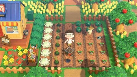 Notably, animal crossing differentiates between regular bamboo pieces and young spring bamboo, both of which have different uses in different recipes. Finally got my hands on a watermelon beach ball and ...