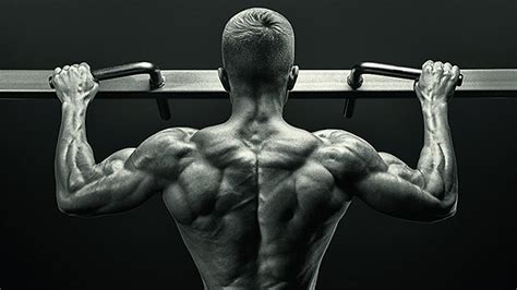 I also read that if using time machine, time machine will delete the oldest. Tip: Do Pull-Up Pulses for Big Lats | T Nation