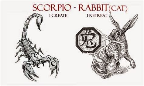 Scorpio Rabbit Personality (Scorpio Cat) | Scorpio Quotes