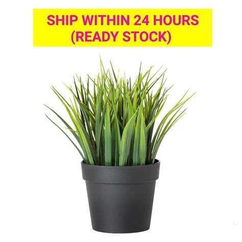 It feels soft to walk on, not scratchy or pokey underfoot at all. IKEA FEJKA Artificial Potted Plant Grass (9cm) | Shopee ...