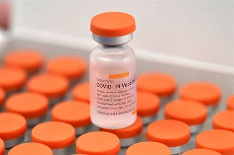 The private chinese company sinovac developed a coronavirus vaccine called coronavac. EU Regulator Starts 'Rolling Review' of China's Sinovac ...