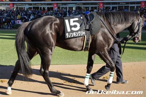 ダノンキングリー (danon kingly) は、日本の競走馬。主な勝ち鞍は2019年の毎日王冠（gii）、共同通信杯（giii）、2020年の中山記念（gii）。 馬名の意味は冠名＋王にふさわしい、王位に君臨することを願って。 ダノンキングリー | 競走馬データ - netkeiba.com