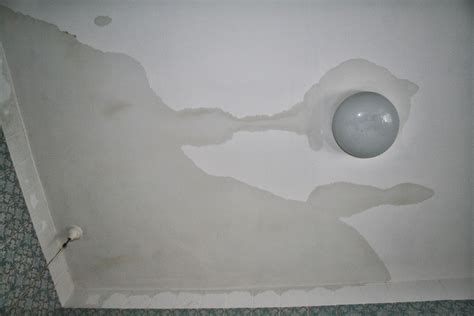 Check spelling or type a new query. What's Causing the Roof to Leak? | Leaking roof