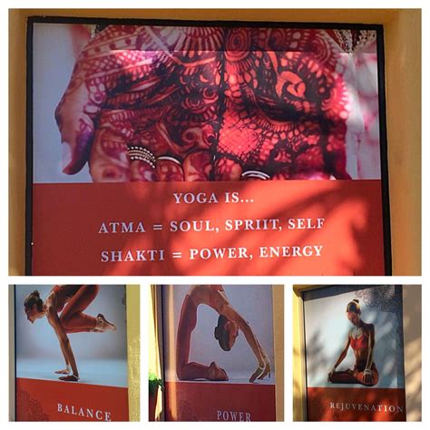 Yoga studio in irvine, california. Yoga Shakti Irvine has a new look! Come check it out and ...