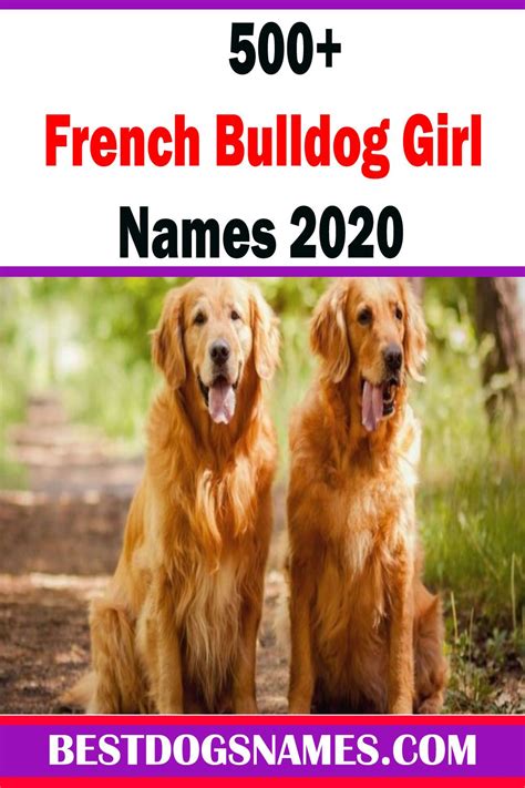 And well naming a french bulldog that is a good way to showcase your sense of humor. French BullDog Girl Names|Cute Dog Names | Best dog names ...