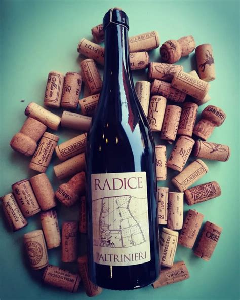 Radice radice in doppia doppia versione versione ce ce l'abbiamo l'abbiamo sempre sempre sempre è la nostra radice i vini frizzanti nascono con una prima di spuma direttamente in bottiglia quindi. Radice | Paltrinieri | Enoteca Red Red Wine