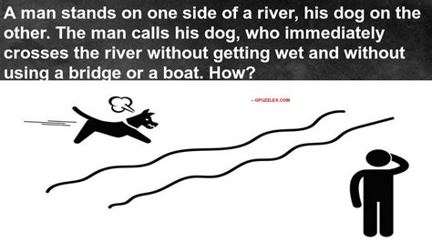 Check spelling or type a new query. Dog Man And A River Riddle | Genius Puzzles