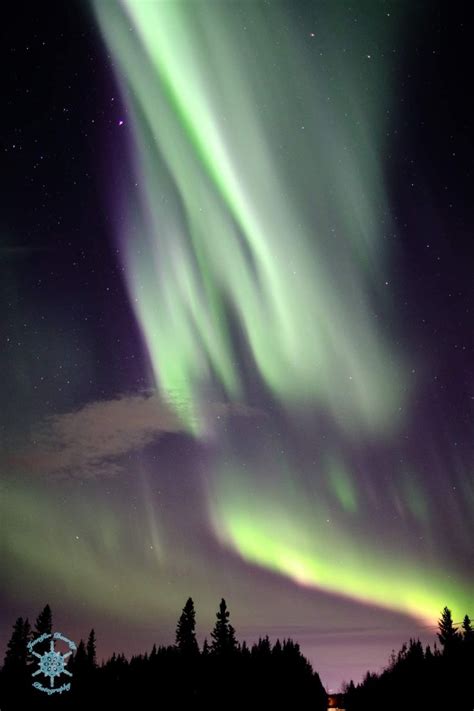 Pin on northern light as seen in Alaska
