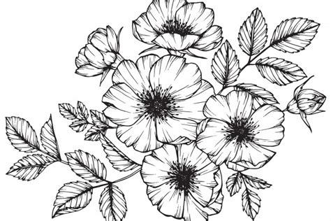We did not find results for: 7 disegni bellissimi da scaricare gratis | DonnaD