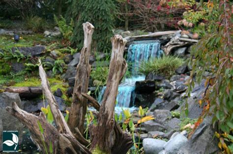 Discover new landscape designs and ideas to boost your home's curb appeal. Lake Tapps Landscape Design | Landscape Design Lake Tapps WA