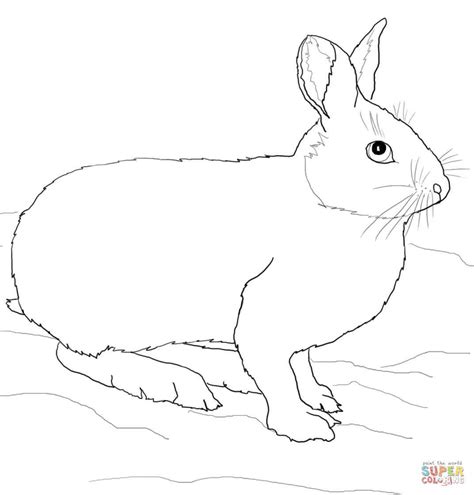 567 x 794 file type: Snowshoe Hare or Rabbit coloring page from Hares category ...