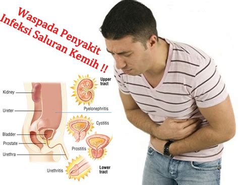 Paracetamol tersedia dalam bentuk tablet 500 mg dan 600 mg, sirup, drop, suppositoria, dan infus. Buang Air Kecil Di Vagina Terasa Sakit | Tips dan trik ...