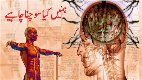 Law of attraction is about how positive you stay and now we take that science to religion. How Subconscious Mind Attracts, Magnetic Attraction ...