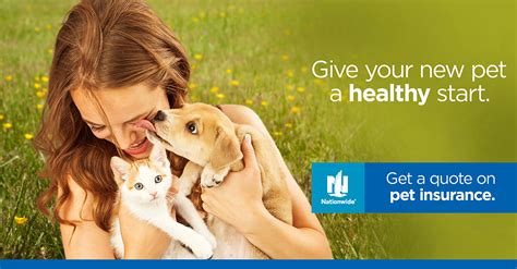 Tesco bank premier & extra pet insurance is defaqto 5 star rated. Pet Insurance | Veterinarian in Phoenix, AZ | Camelback ...